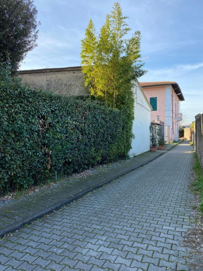 Biscuit Bed & Breakfast Pisa