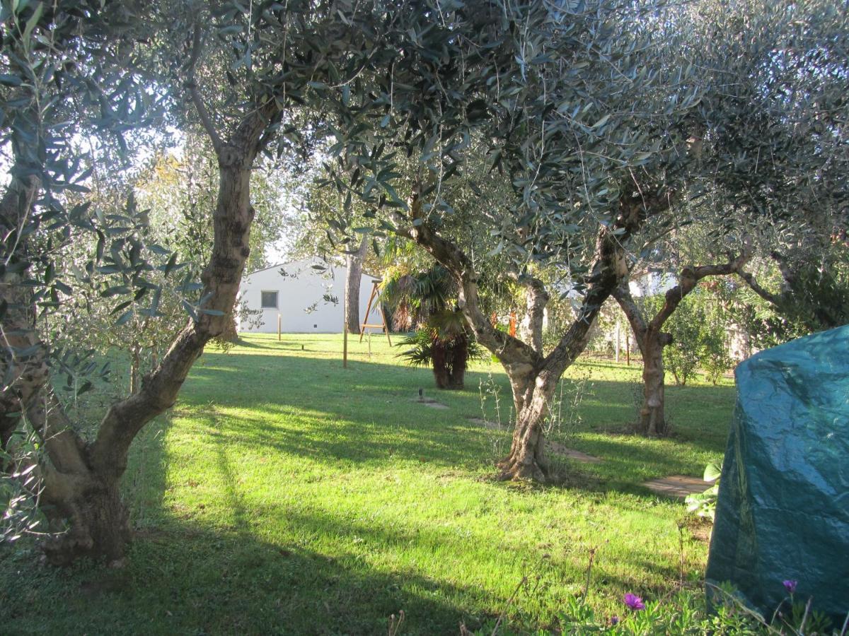 Bed & Breakfast San Russorio *