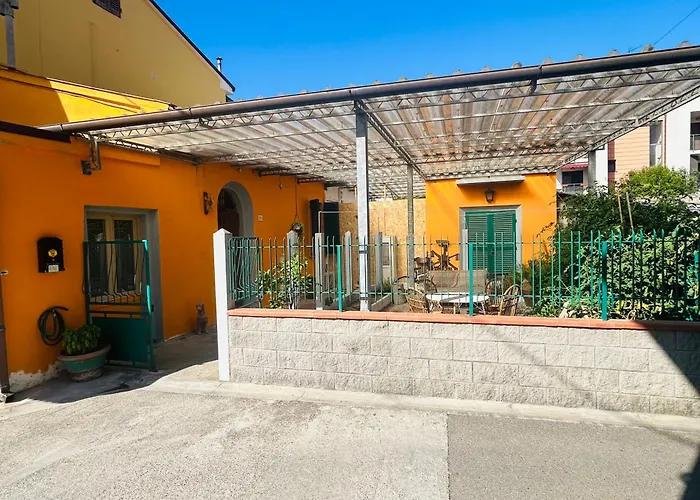 Carlitos Maison