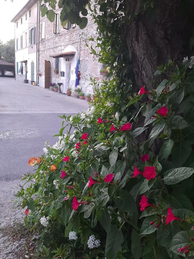 A Casa Mia Bed & Breakfast Pisa
