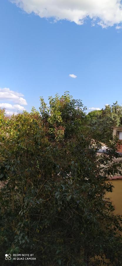 Appartement Desiderio Pisa