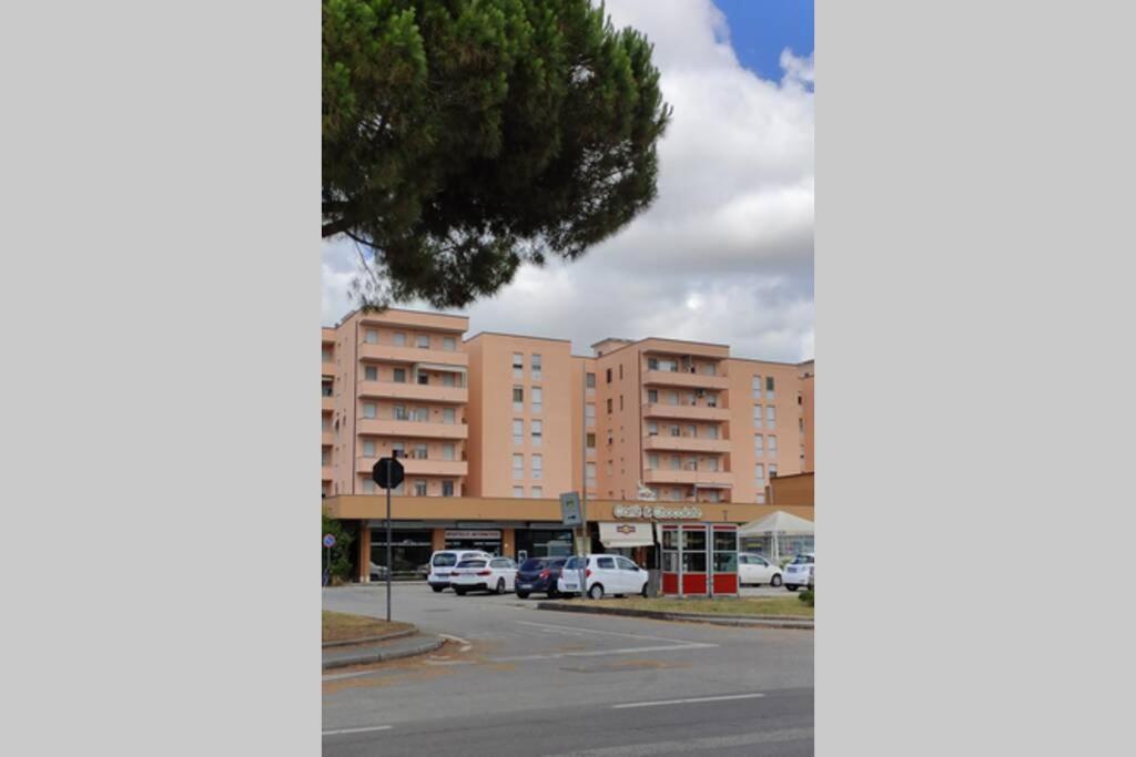 Bilocale Zona Ben Servita Appartamento Pisa