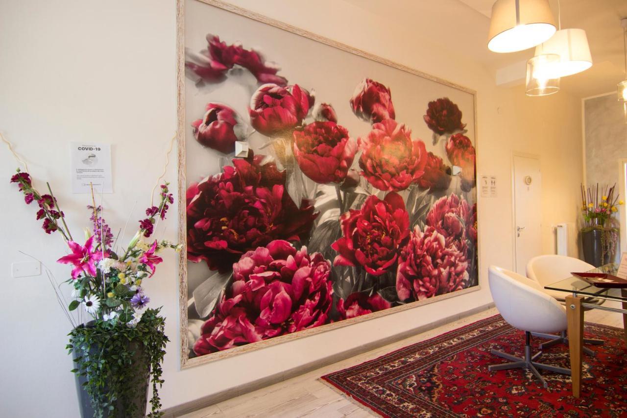 Bed & Breakfast 7 Pisa