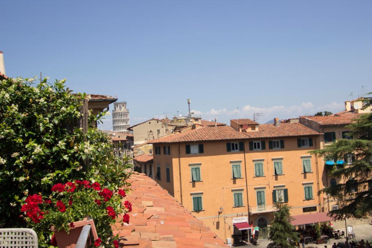 7 Pisa