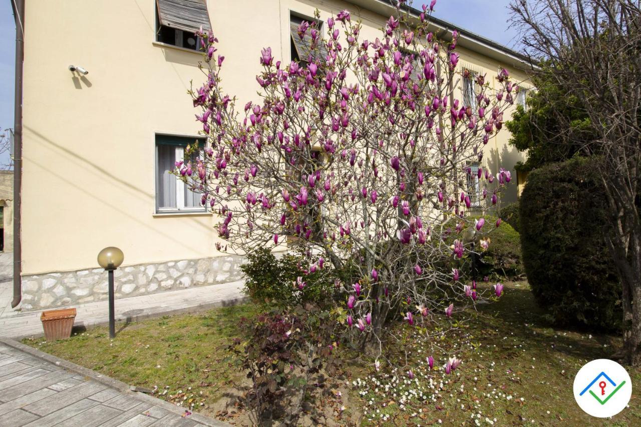 Sunny Corner Apartment Pisa