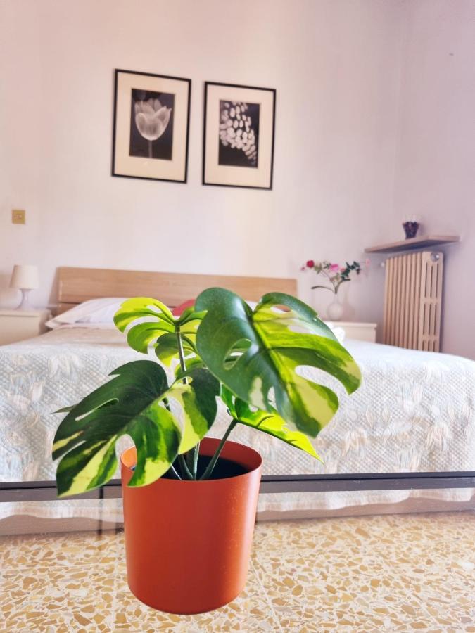 Prime Guest House Bed & Breakfast *
