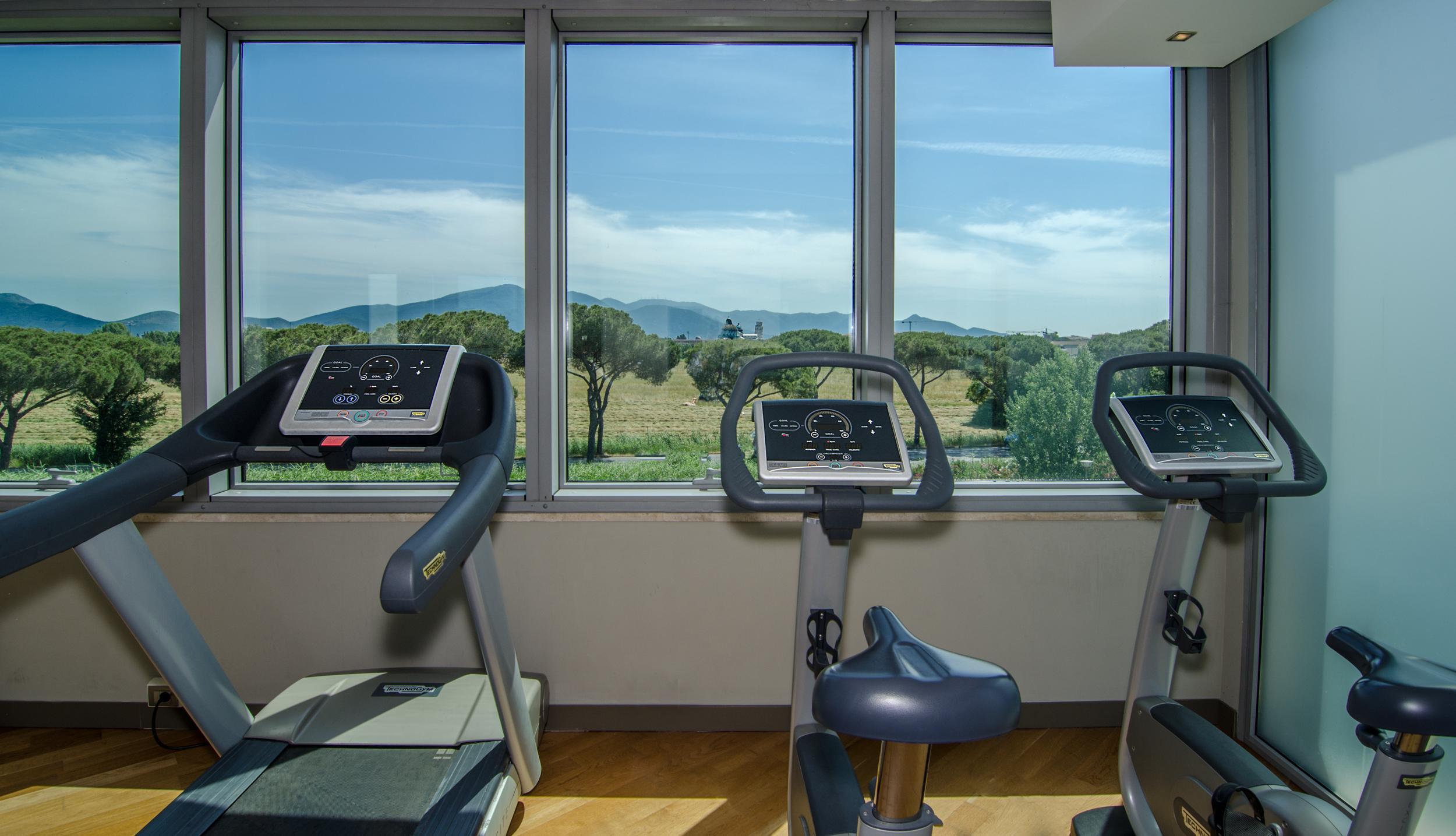 Tower Plaza 5* Pisa