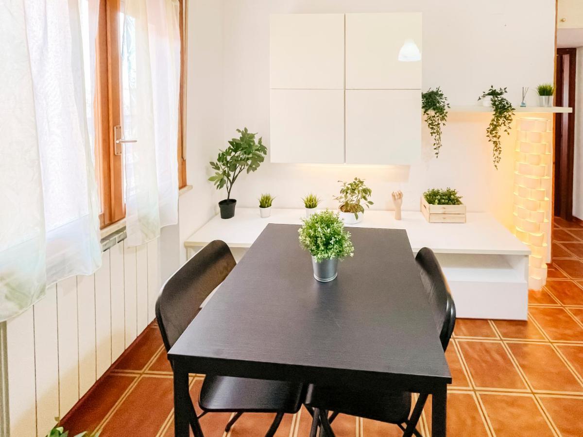 Ospedale Cisanello Bonsai House Apartment Pisa