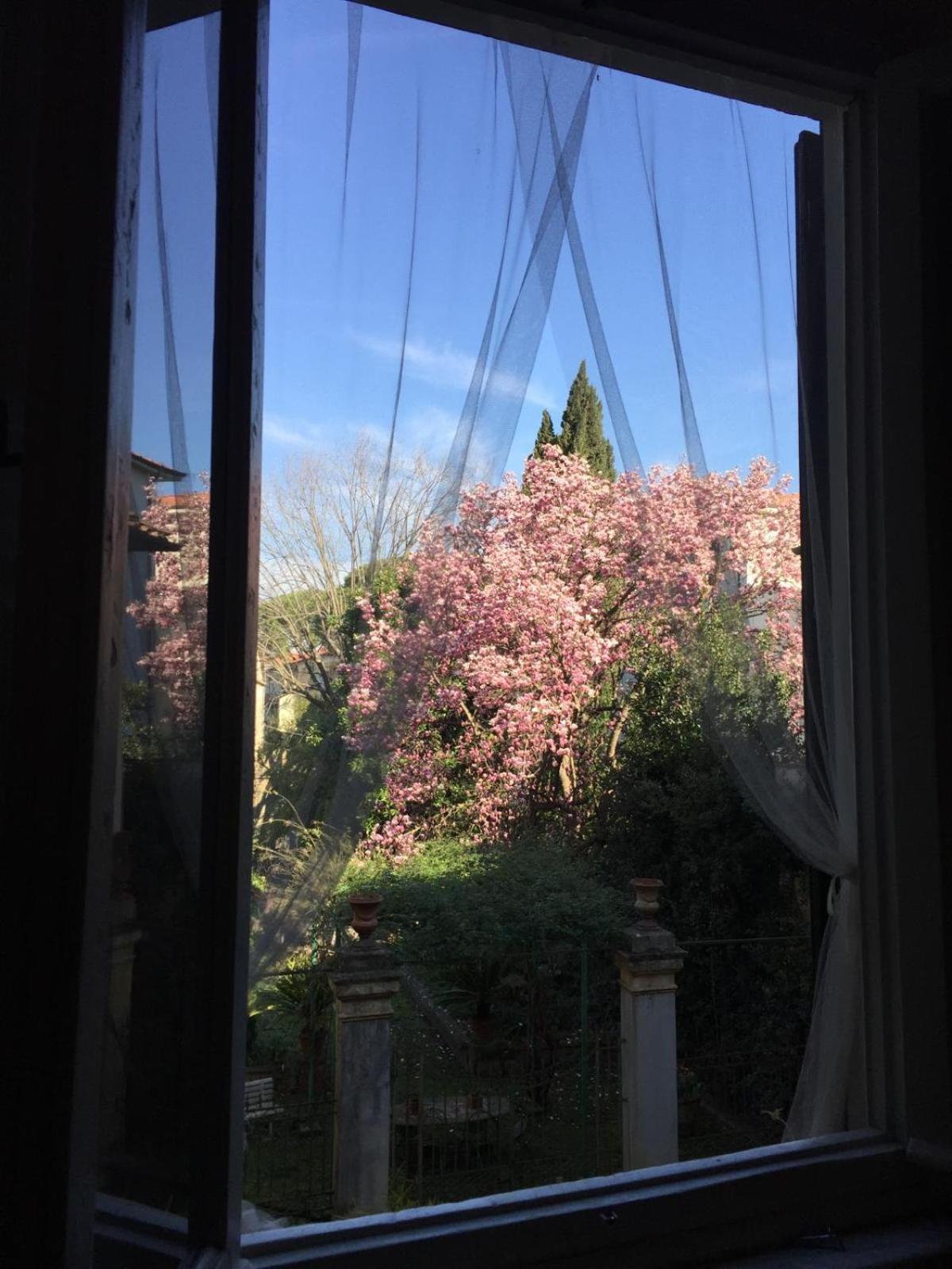 Il Giardino Di San Lorenzo Appartamento