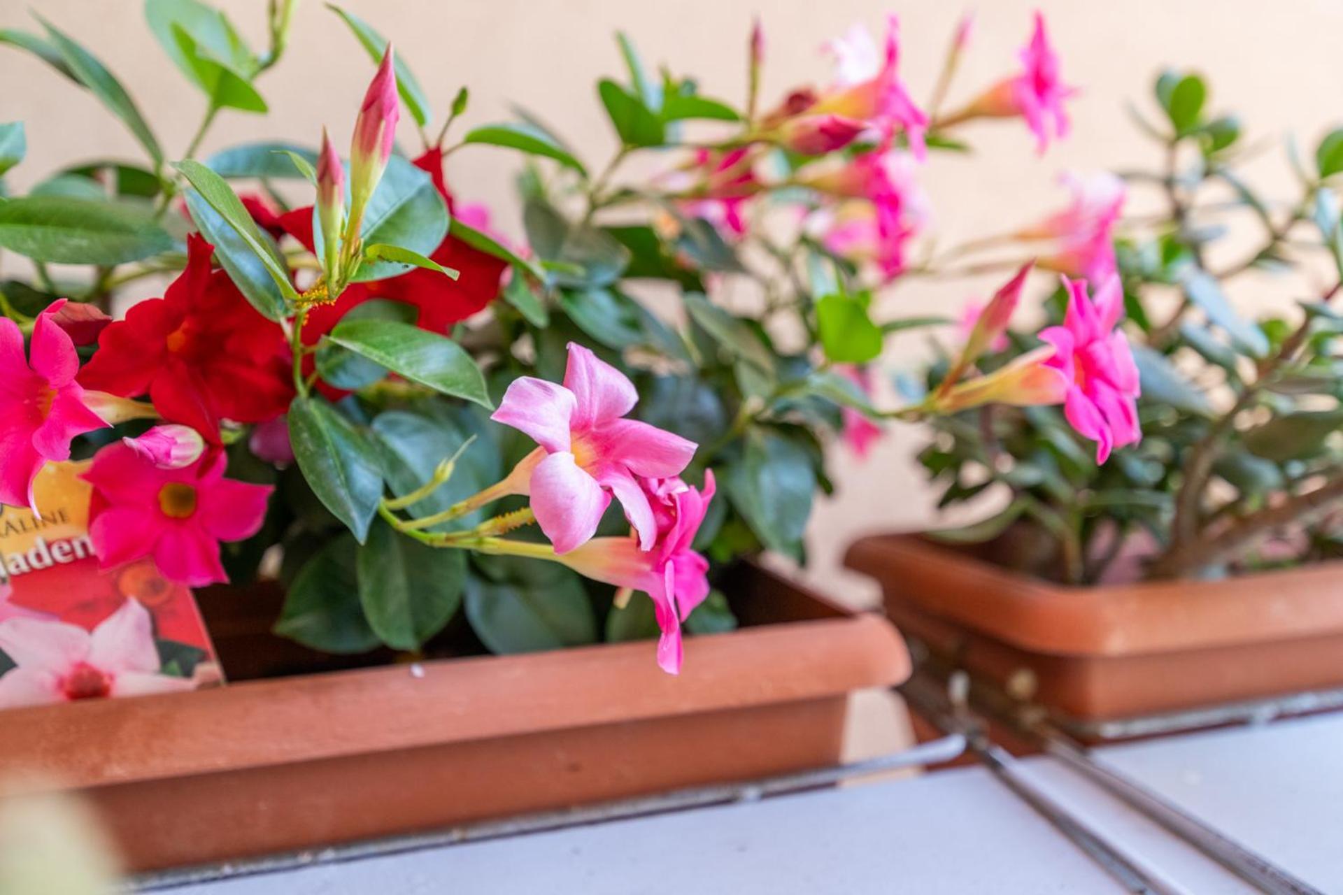 Apartamento A Casa Di Gerelia *