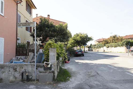 Gaudenzia Pisa