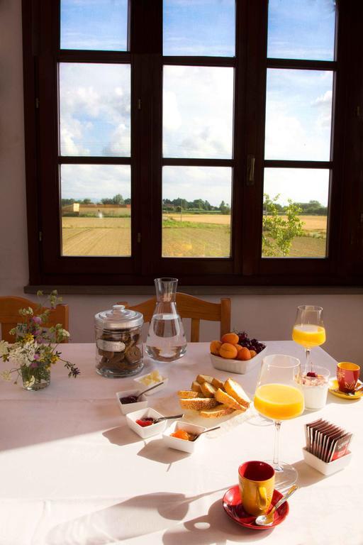 Casa Betulla Bed & Breakfast Pisa
