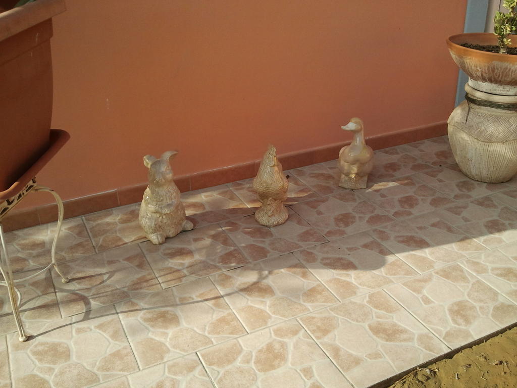Casa de hóspedes Di Stefania Jane *
