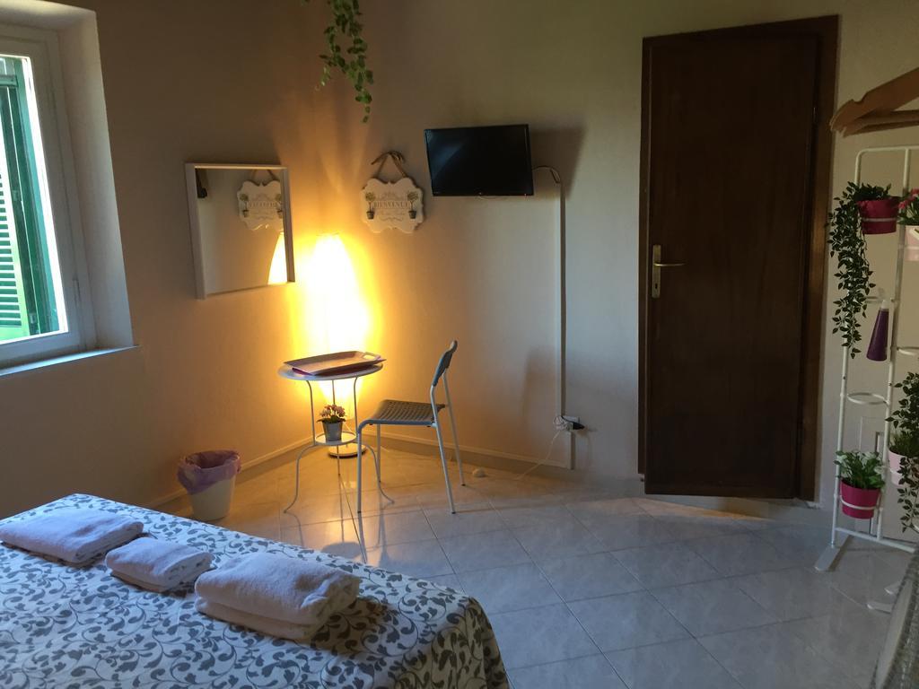 Smile Tower House Guest house Pisa