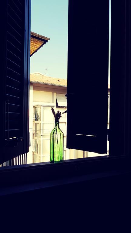 Pisa Lodge B&B Hostel Guest house *