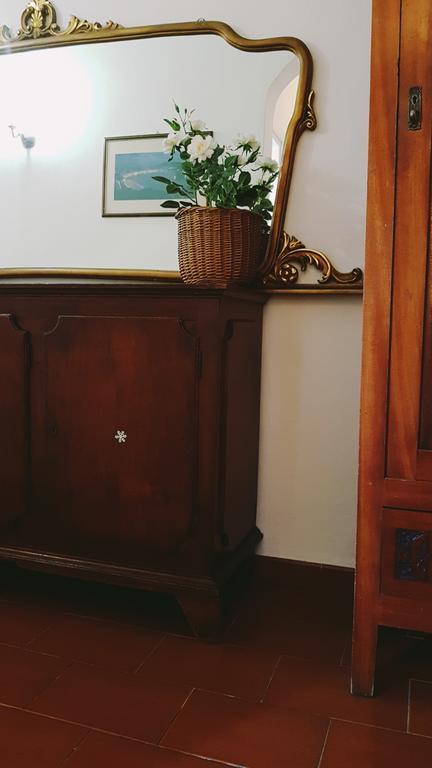 Guest house Pisa Lodge B&B Hostel *
