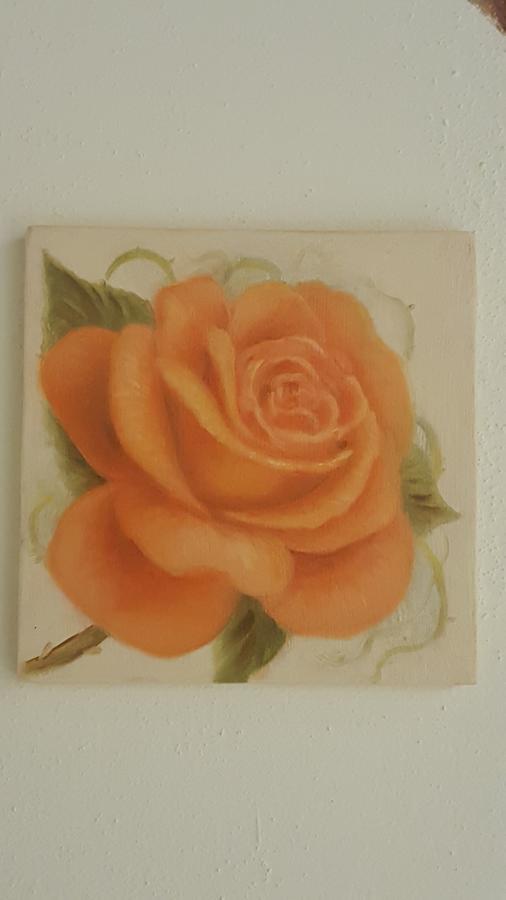 Five Roses Bed & Breakfast 2*
