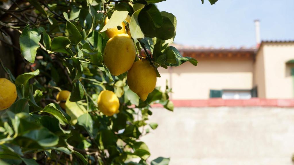 Borgo Largo 51