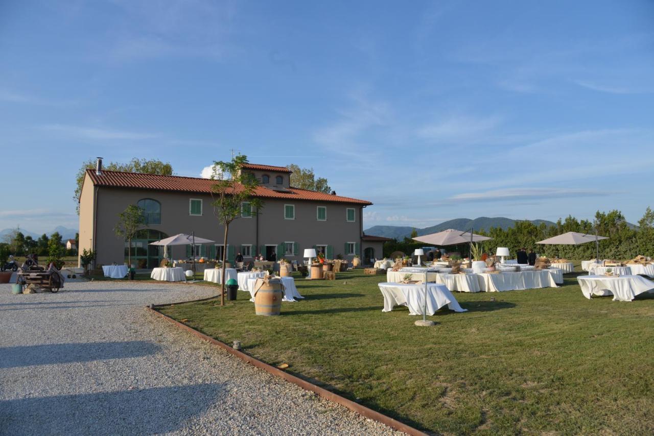 Fattoria L'olmetto Pisa
