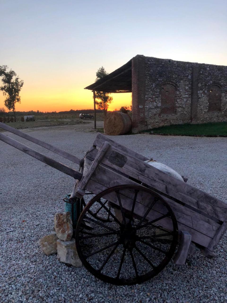 Farm stay Fattoria L'olmetto