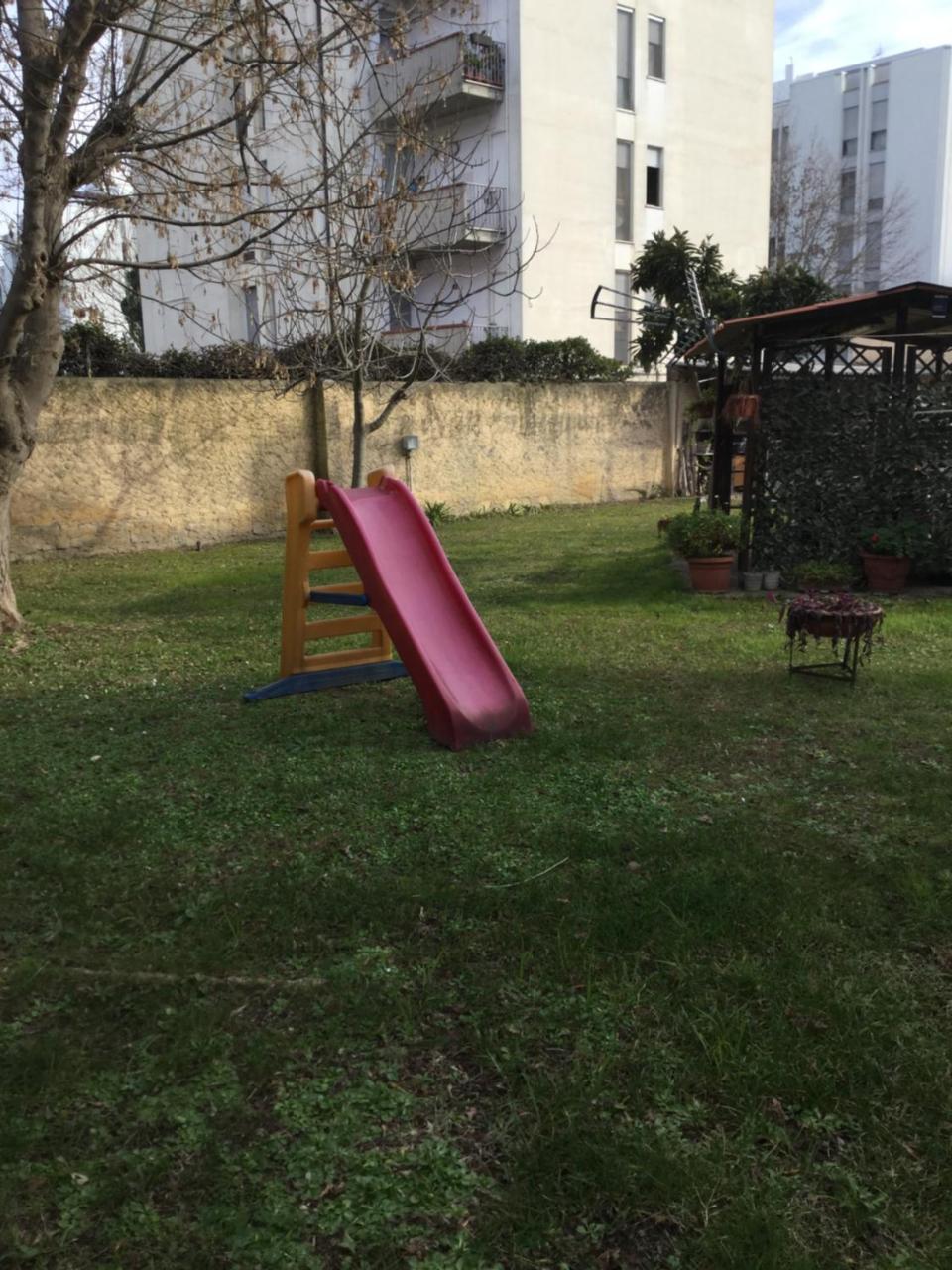 Albero Cisanello Pisa