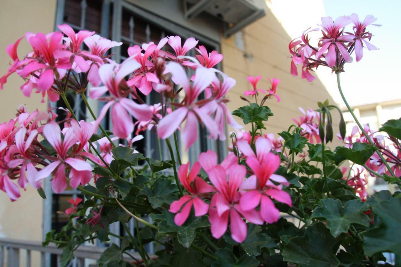 Bed & Breakfast Town Pisa