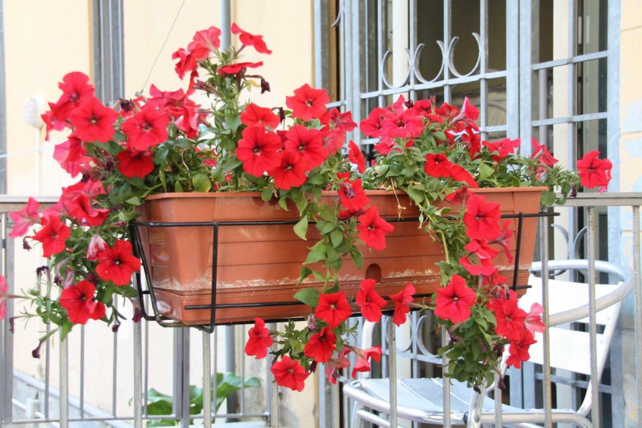 Town Bed & Breakfast Pisa