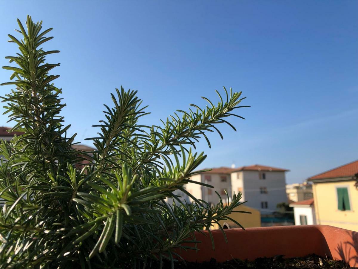 Da Paola Bed & Breakfast Pisa