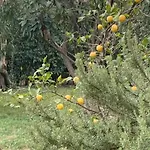 Paradisa28 - Amalfi - Zona Ospedale Cisanello