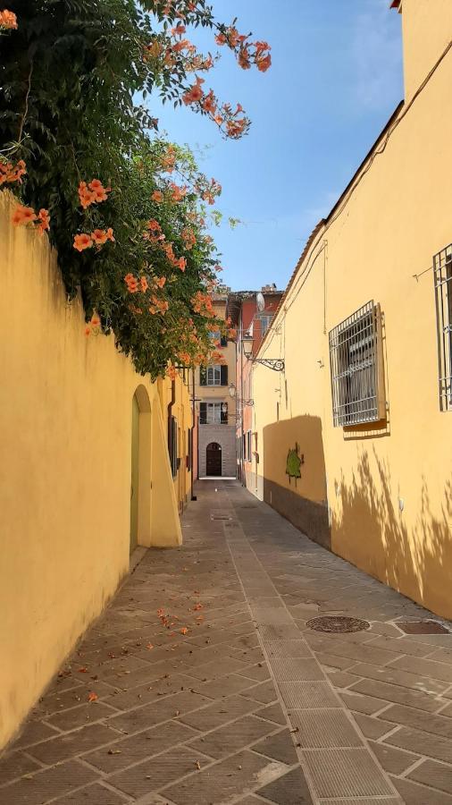 Casa Campanella Pisa