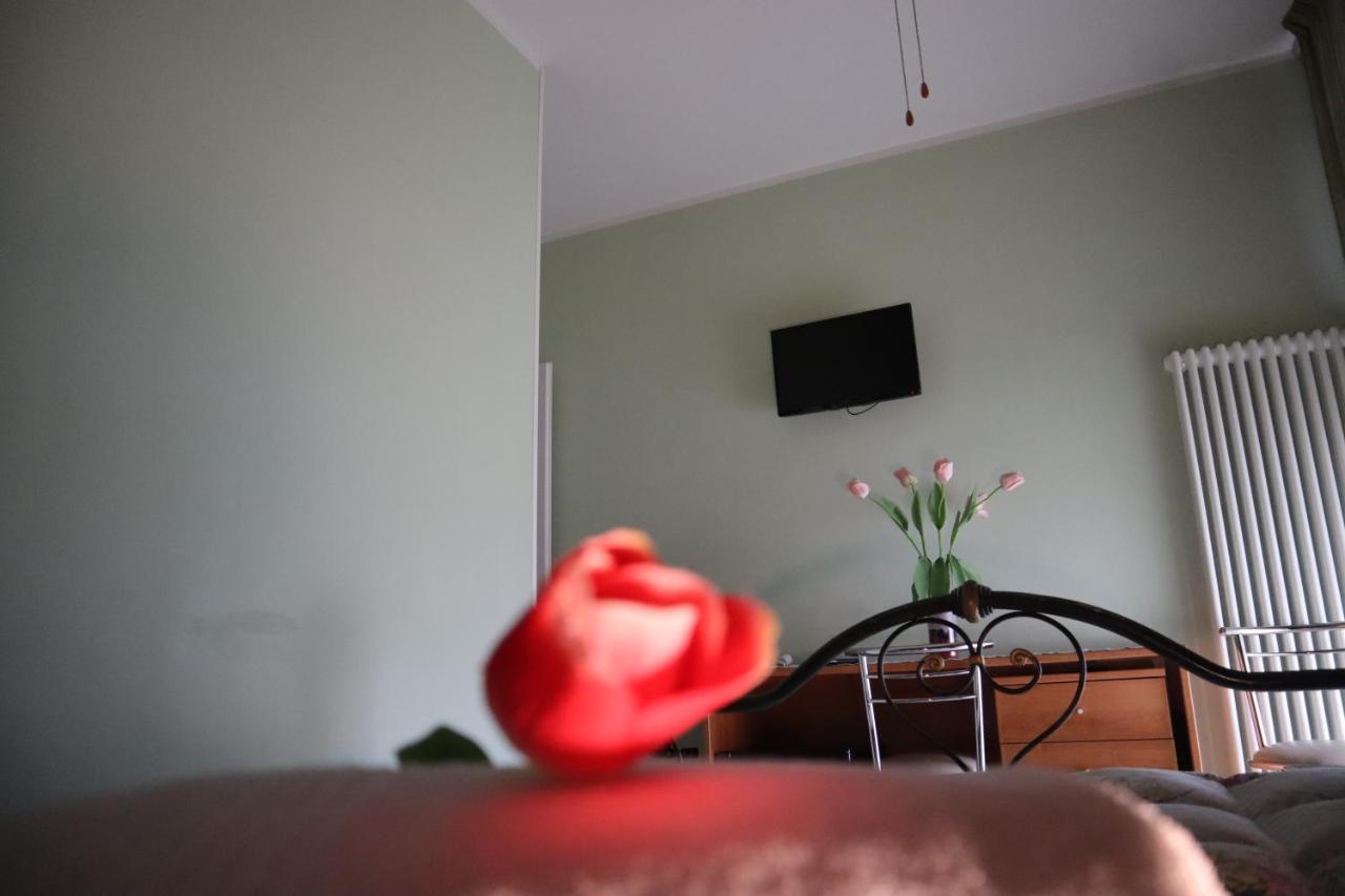 Guest house Affittacamere Brezza Della Primavera Pisa