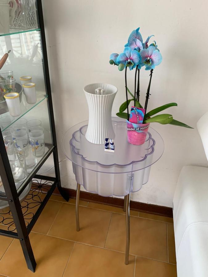 Pampero & Catona House Appartamento