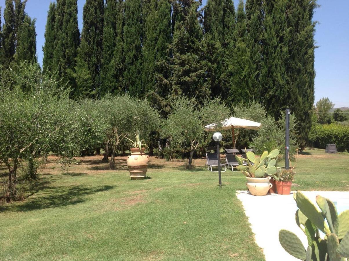 Charming In With Terrace And Shared Pool.