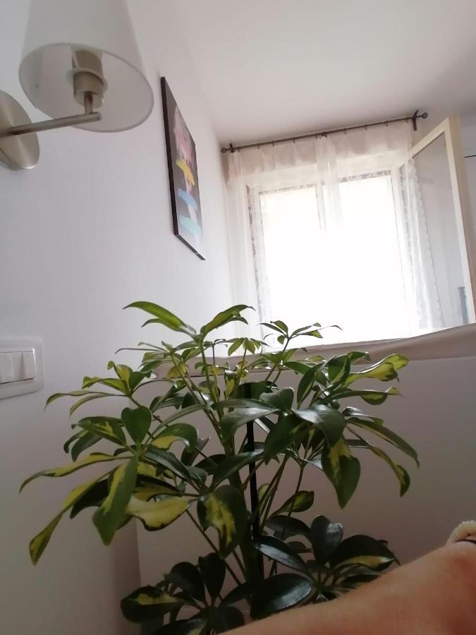 Casa Doina Airport Apartment Pisa