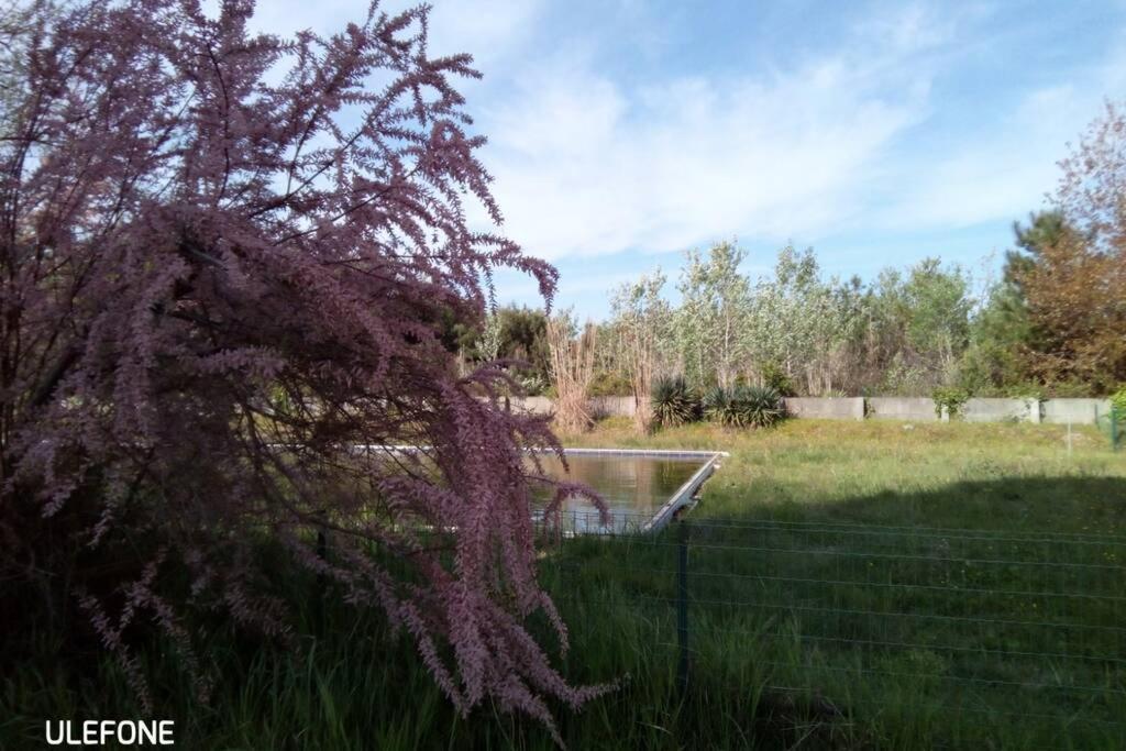 Casa Nel Parco Sulla Pisa
