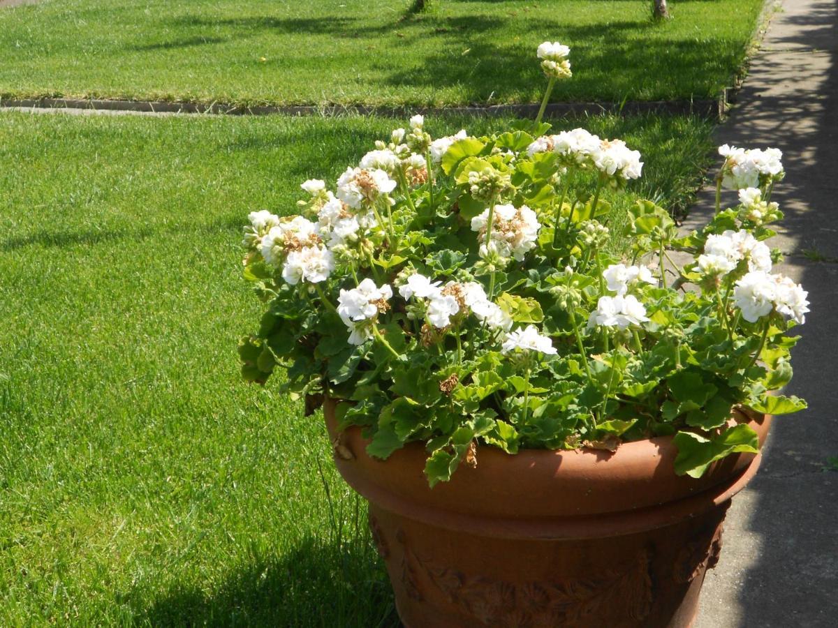 Giardino Antico Appartamento *
