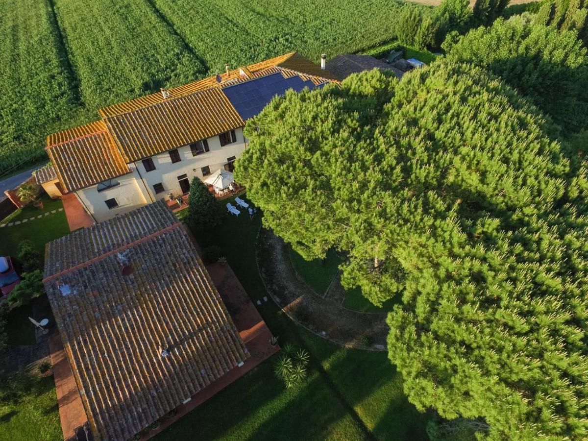 Podere Magnolia Holiday home Pisa