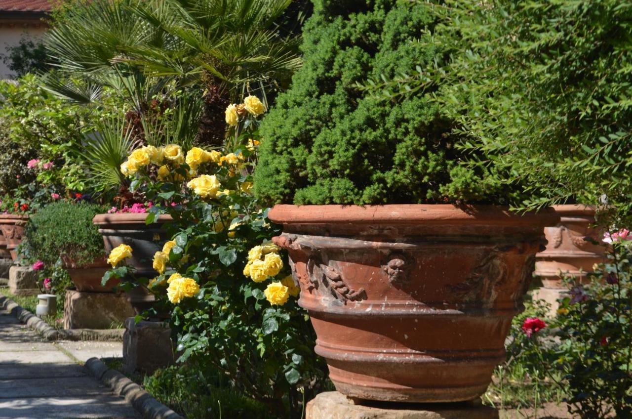 Casa Per Ferie Religiosa Figlie Di Nazareth Bed & Breakfast Pisa