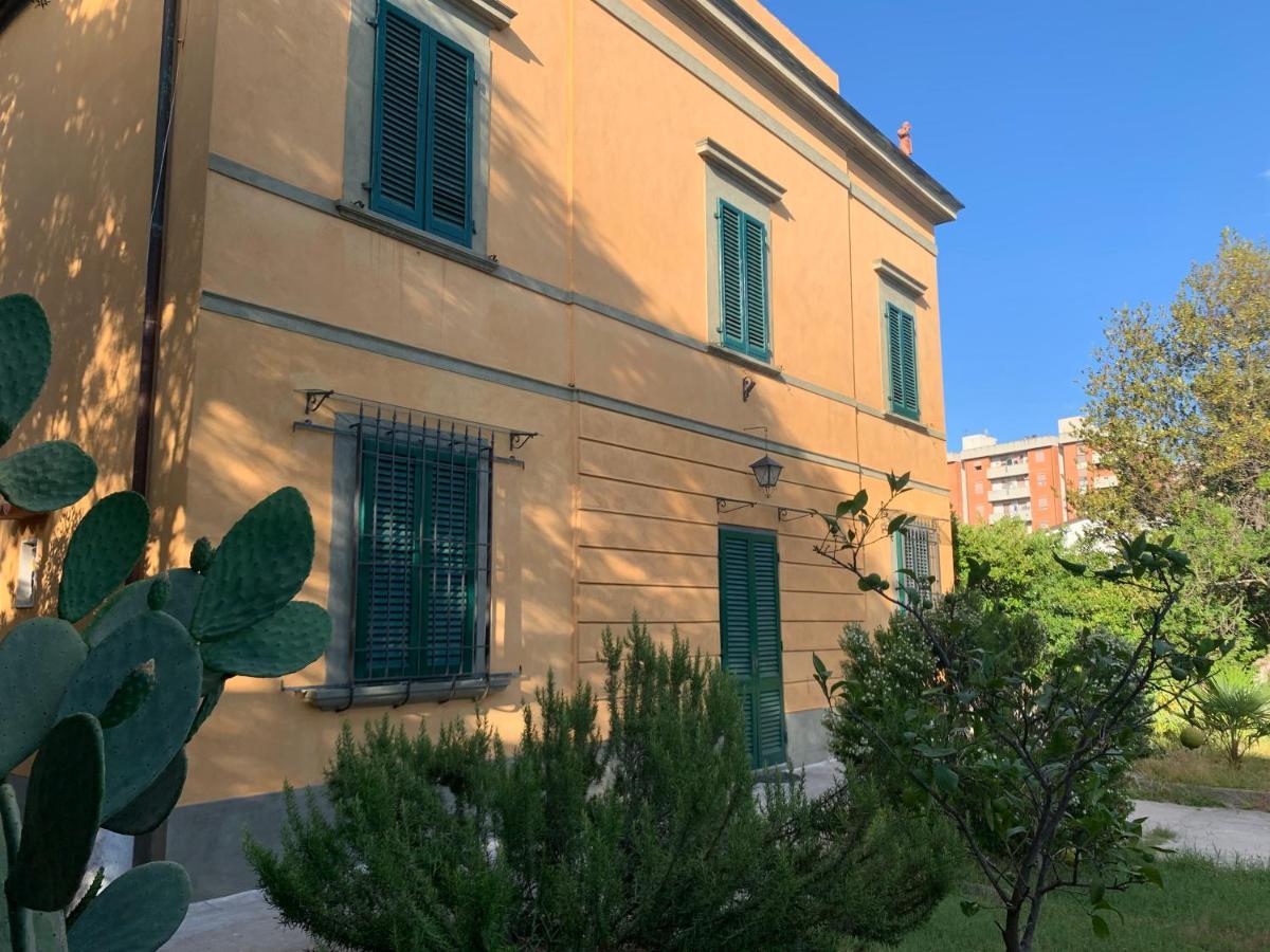 Paradisa28 - Amalfi - Zona Ospedale Cisanello Pisa