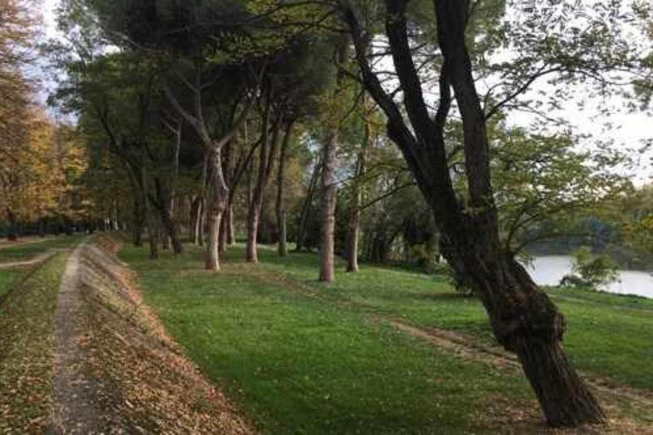 Bonaini Casa de hóspedes