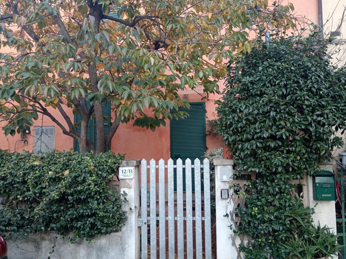 Maioliche Cozy Appartement