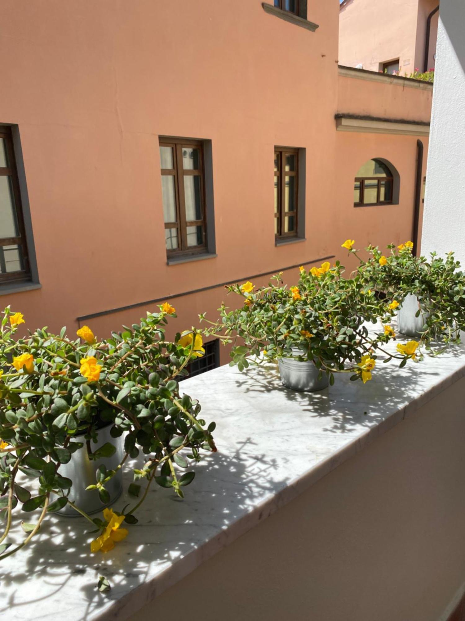 Apartment Blom Pisa