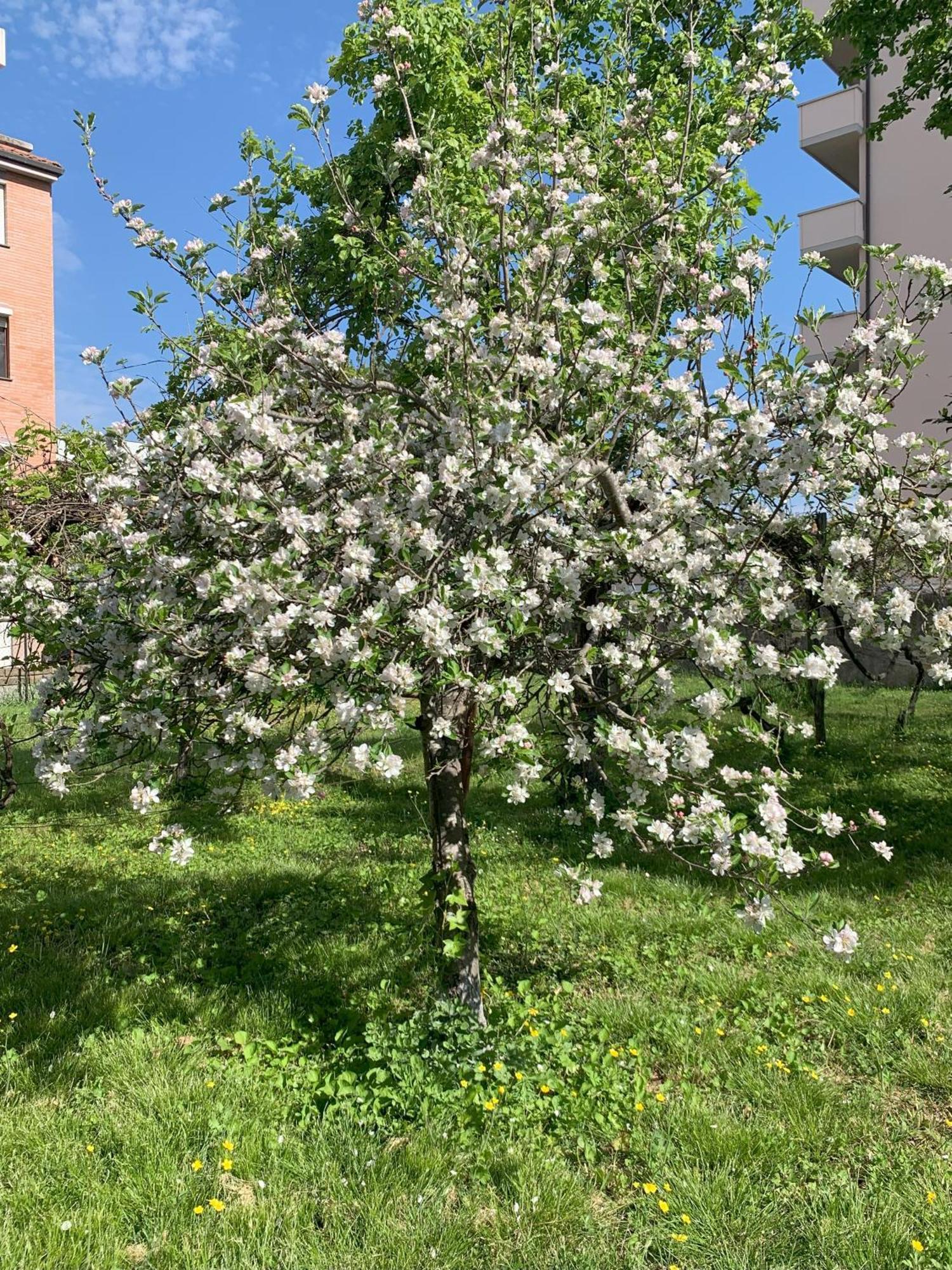 Paradisa28 - Amalfi - Zona Ospedale Cisanello