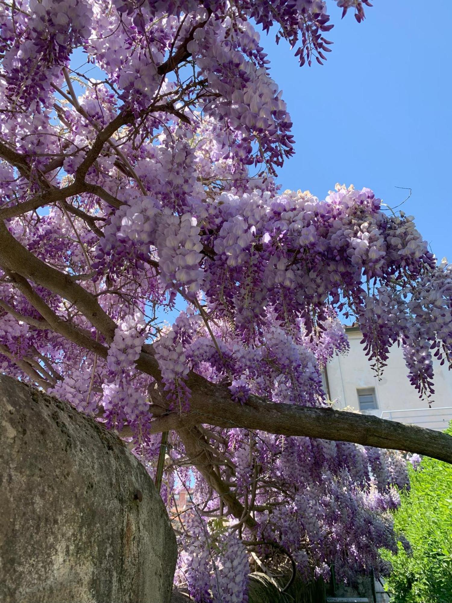 Paradisa28 - Amalfi - Zona Ospedale Cisanello Apartamento *