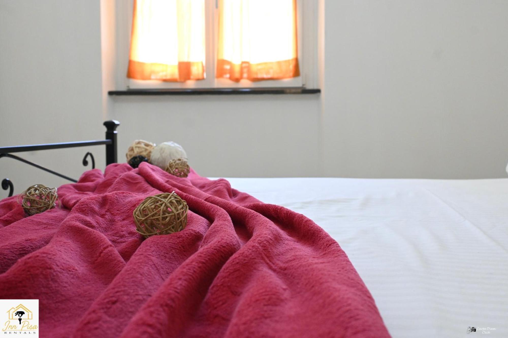 2- Starlight Flat Apartment Pisa