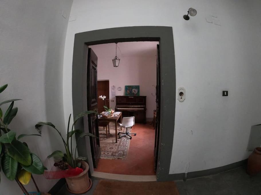 Storica E Panoramica - Centro Pisa