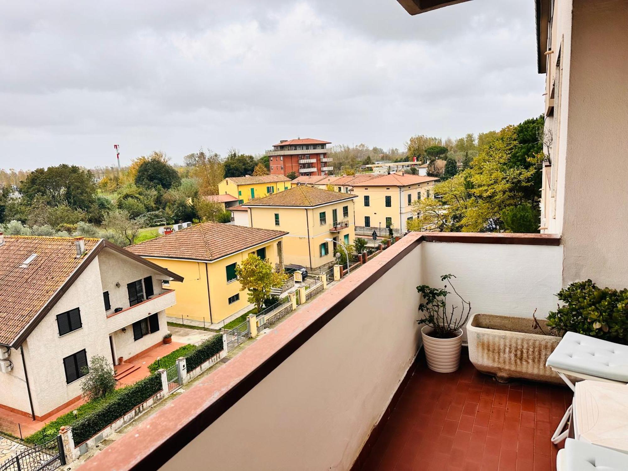 Cisanello