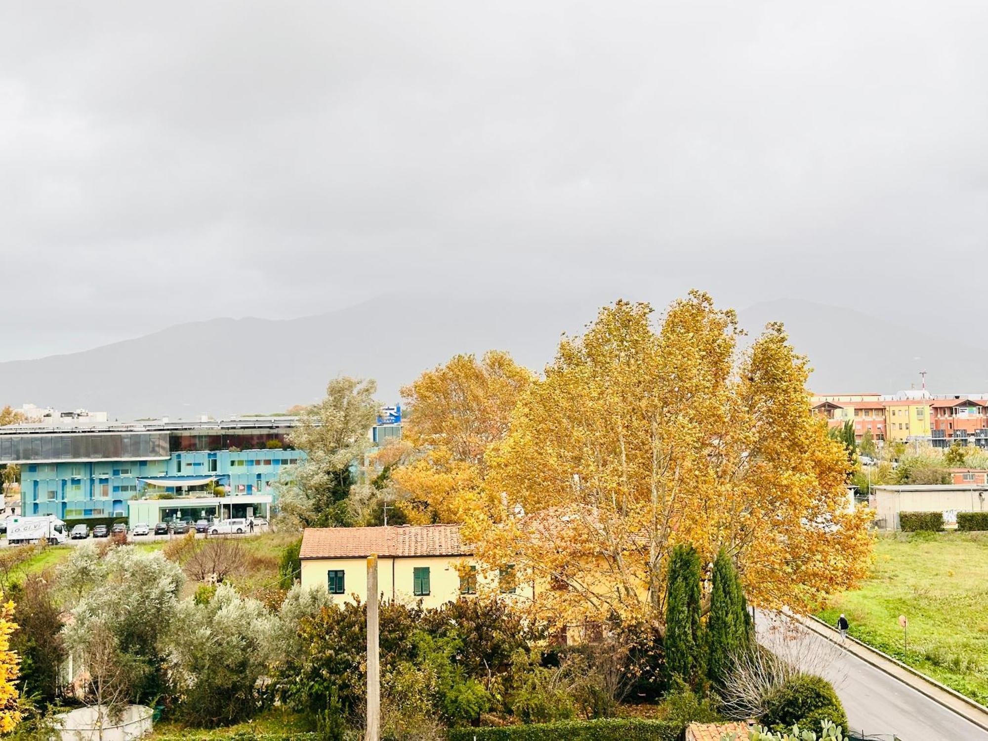 Cisanello Nhà khách