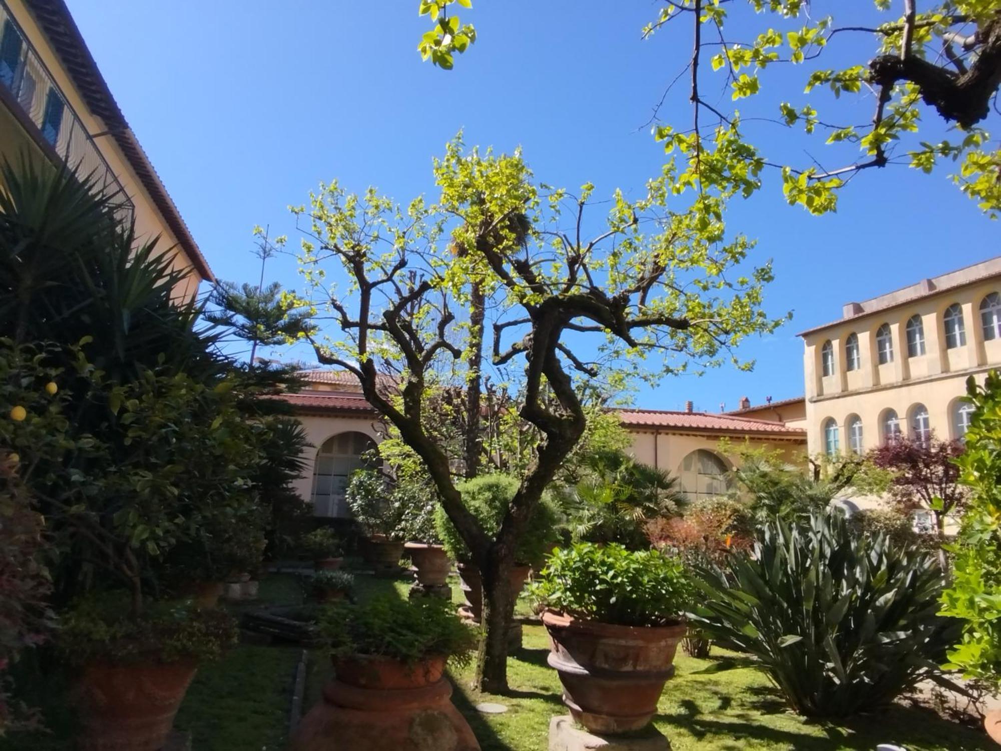 Casa Per Ferie Religiosa Figlie Di Nazareth Bed & Breakfast Pisa