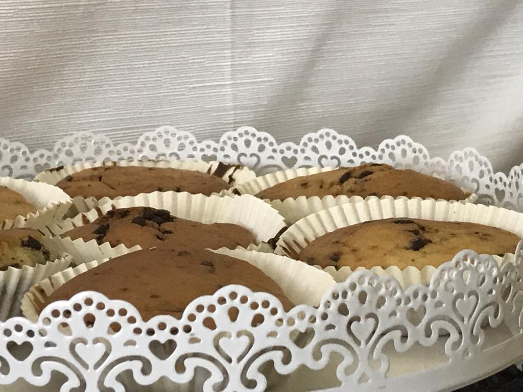 Lady Rose Bed & Breakfast Pisa